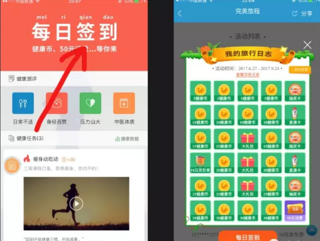 家猫一天都在忙些啥，对什么事最上心？